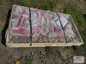 lot 207 image: Crate of (8) 5400lb ratchet binders and (16) ...
