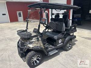lot 1 image: OnShine 4 passenger electric golf c...
