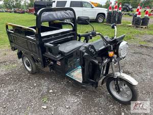 lot 47 image: SDLanch electric 3 wheeled dump car...