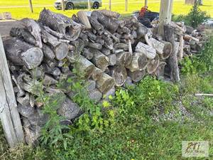 lot 283 image: Orleans County Cornell Cooperative Extension