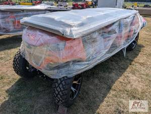 lot 15 image: Future off road electric golf cart,...