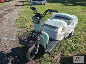 lot 44 image: SDLanch MGC40 2 person electric car...