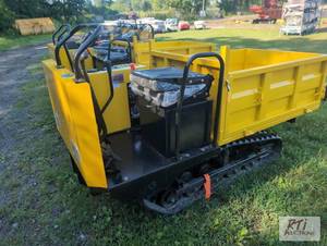 lot 64 image: SDLanch CDWS25 crawler dumper, 3ft ...