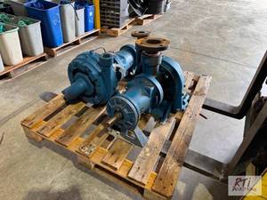 lot 272 image: (2) Centrifuge pumps.&nbspItem is ...