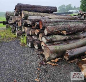 lot 247 image: Mixed firewood, majority maple. Thi...