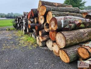 lot 248 image: Mixed firewood, mostly cherry. (Pil...