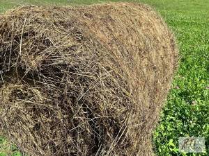 lot 342 image: 50X Round Bales. 5FT X 5FT of new s...