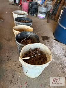 lot 80 image: (5) pails of form clips #84A...