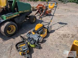 lot 254 image: (2) Chainsaws and push mower...