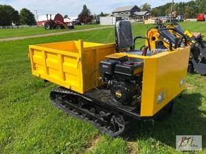lot 22 image: SDLanch crawler dumper with 3ft x 4...