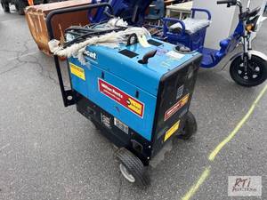 lot 1013 image: Miller Bobcat 250EFI gas power weld...