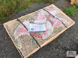 lot 170 image: LandHonor (5) 9200lb ratchet binder...