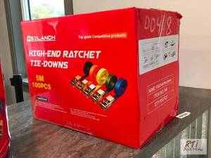 lot 237 image: SDLanch ratchet tie downs, approxim...