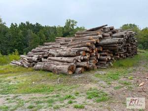 lot 598 image: 20 Face cord of Firewood logs. Cut ...