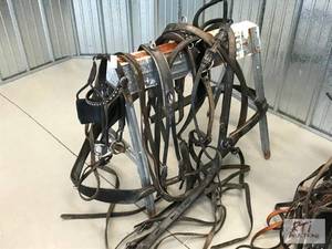 lot 668 image: Amish leather harness. Draft size. ...