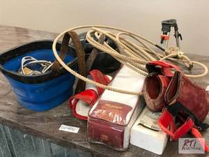 lot 696 image: Lot of sport boots, irons, salt lic...