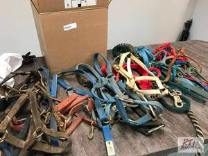 lot 773 image: Box of halters. Draft, horse and fo...